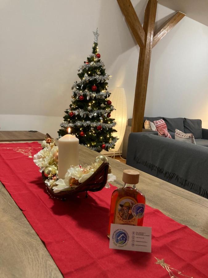 Apartmán Rychtaříkovi *